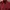 Mammut Sportswear Jersey Pria burgundy red photo 1