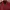 Mammut Sportswear Jersey Pria Burgundy Red