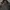 Gucci Biker Windbreaker Wanita black photo 2