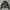 Gucci Biker Windbreaker Wanita Black
