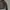 Gucci Biker Windbreaker Wanita black photo 3