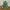 Uniqlo Gorpcore Track jacket Pria green photo 6