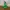 Uniqlo Gorpcore Track jacket Pria green photo 1