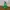 Uniqlo Gorpcore Track Jacket Pria Green