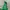 Uniqlo Gorpcore Track jacket Pria green photo 3