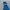 Casual Track jacket Pria blue photo 3