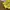 Berghaus Gorpcore Casual Track jacket Pria yellow photo 6