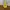 Berghaus Gorpcore Casual Track jacket Pria yellow photo 1