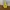 Berghaus Gorpcore Casual Track Jacket Pria Yellow