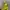Berghaus Gorpcore Casual Track jacket Pria yellow photo 7