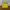 Berghaus Gorpcore Casual Track jacket Pria yellow photo 2