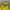Berghaus Gorpcore Casual Track jacket Pria yellow photo 4