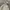 Salomon Gorpcore Casual Track jacket Wanita white photo 2