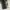 Michael Kors Casual Bags & purse Wanita black photo 3