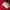 Adidas Sportswear Track jacket Pria red photo 5