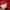 Adidas Sportswear Track jacket Pria red photo 6