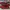 Christian Louboutin Luxury Casual Sneakers Pria black red photo 5
