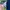 Evisu Streetwear Casual Jeans Pria multicolor photo 6