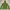 Mountain Hardwear Parka Wanita green photo 2