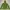 Mountain Hardwear Parka Wanita Green