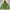 Mountain Hardwear Parka Wanita green photo 1