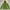 Mountain Hardwear Parka Wanita Green