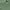 Mountain Hardwear Parka Wanita green photo 6