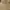Vintage Coquette Nightgown Wanita tan pink photo 2