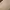 Vintage Coquette Nightgown Wanita tan pink photo 4