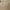 Vintage Coquette Nightgown Wanita tan pink photo 3