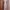 Vintage Coquette Nightgown Wanita tan pink photo 1