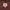 GAP Outerwear Kids brown photo 7