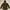 GAP Outerwear Kids Brown