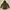 GAP Outerwear Kids brown photo 1