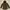 GAP Outerwear Kids Brown