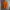 Nike Casual Polo shirt Pria orange photo 1