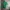 Sportswear Polo shirt Pria green photo 1
