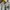 The North Face Y2K Casual T-shirt Pria gray photo 3