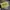 Japanese brand Vintage Biker Pria yellow black photo 1