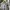 Y2K T-shirt Pria gray photo 2