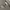 Outerwear Kids gray photo 8