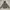 Outerwear Kids gray photo 1