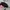 Japanese brand Vintage Streetwear Hat Pria black photo 1