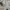 Japanese brand Vintage Hat Pria green photo 2