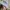 Japanese brand Vintage Casual Hat Pria white blue photo 1