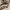Asics Sportswear Sneakers Pria cream photo 1