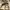 Asics Sportswear Sneakers Pria cream photo 2