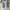 Nike Casual Sweatshirt Pria gray photo 1