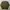 Nike Streetwear Casual Sweatshirt Pria green photo 1