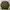 Nike Streetwear Casual Sweatshirt Pria Green